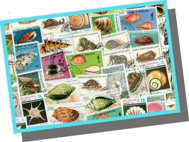 50 different SEA SHELLS on stamps
